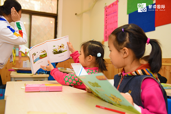 慧读国际的课程体系是怎样的？