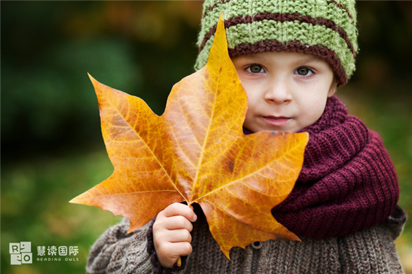慧读国际：为什么要用绘本阅读培养孩子英语思维？
