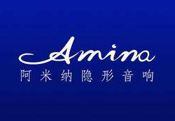 中国特许加盟展：AMN阿米纳隐形音响超乎你所想，隐形家庭影院音响引领品牌!