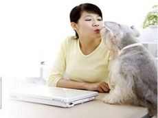 大嘴狗宠物医院 专业医师上门驻店帮您更快掌握技能