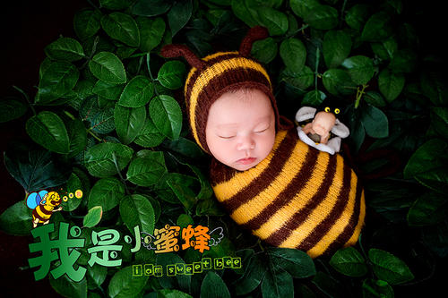 1605083318311487.jpg 2.jpg