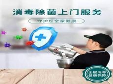 绿萝帮除甲醛 为你守护家人的健康呼吸