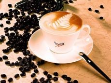 咖啡之翼努力打造中国知名咖啡连锁品牌投资少风险小