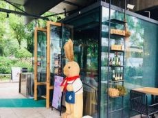 白兔糖精品咖餐加盟 做有品位的品味者