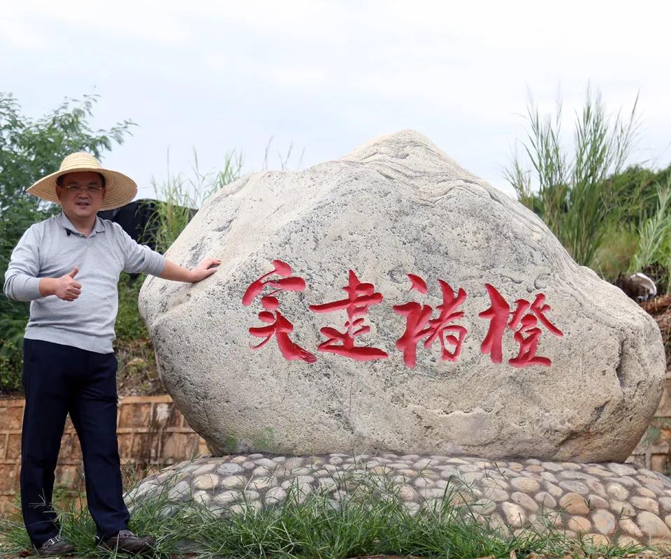 天时地利人和!京城果王带你揭开实建褚橙的神秘面纱