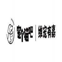 宠个猫吧